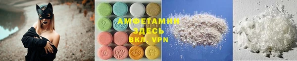 ECSTASY Алзамай