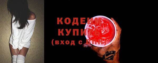 ECSTASY Алзамай