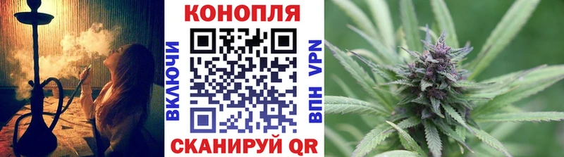 купить   Перевоз  Шишки марихуана Amnesia 